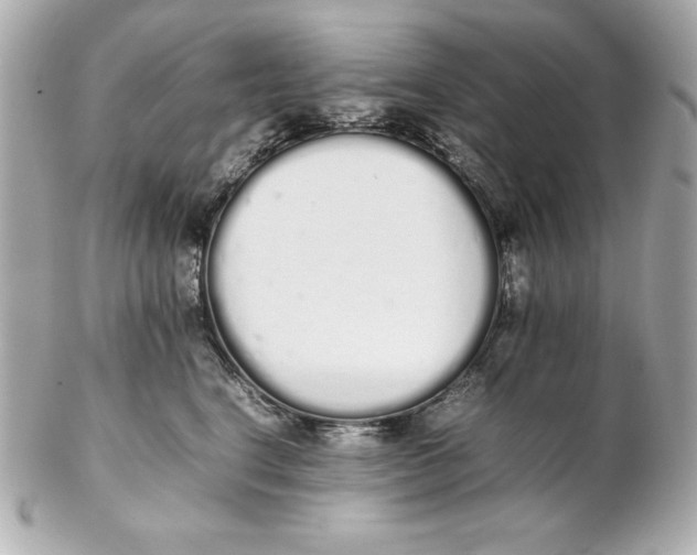 X0000102260664200808151842