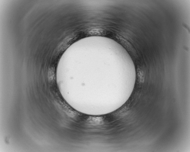 X0000102260665200808151842