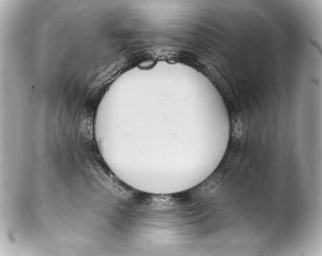 X0000102260666200808151842