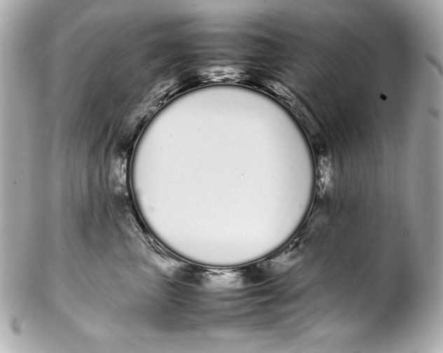X0000102260667200808151842