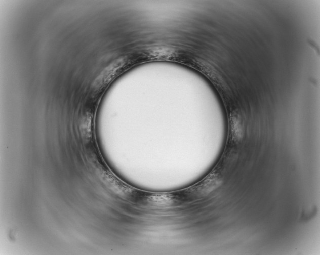 X0000102260668200808151842