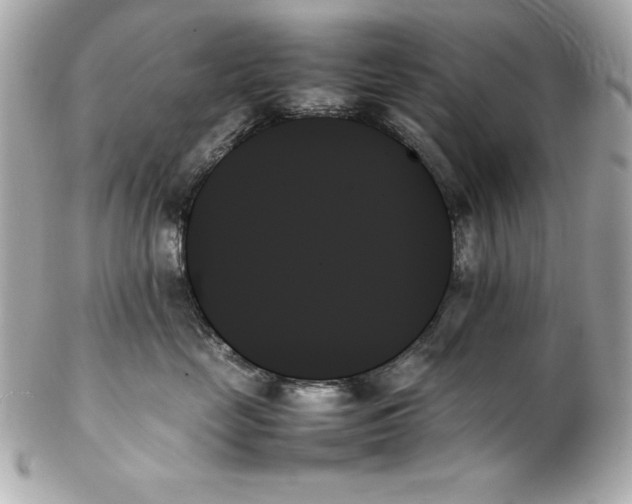 X0000102260669200808151842