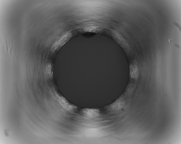 X0000102260670200808151842