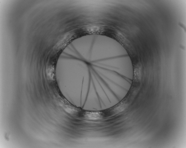 X0000102260671200808151842