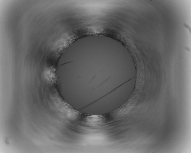 X0000102260672200808151842
