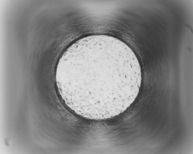 X0000102260673200808151841