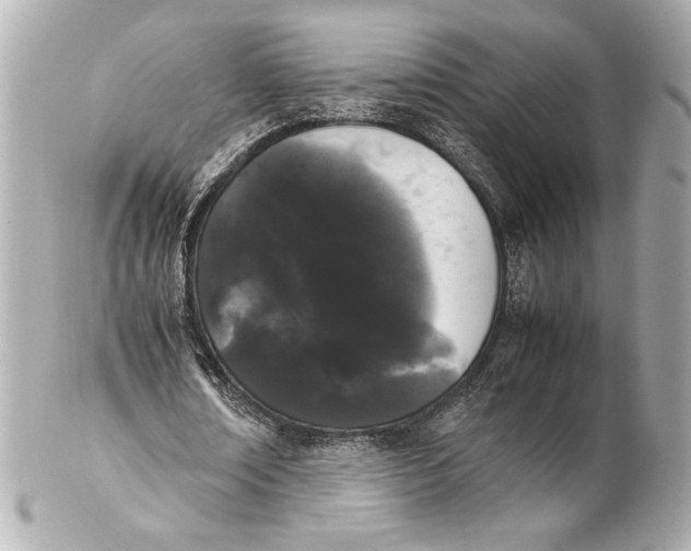 X0000102260674200808151841