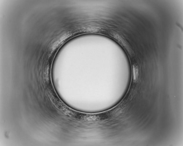 X0000102260675200808151841