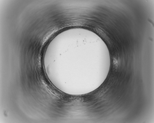 X0000102260676200808151841