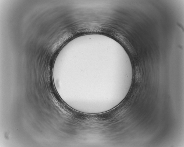 X0000102260677200808151841