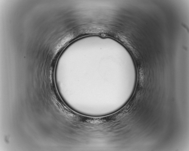 X0000102260679200808151841