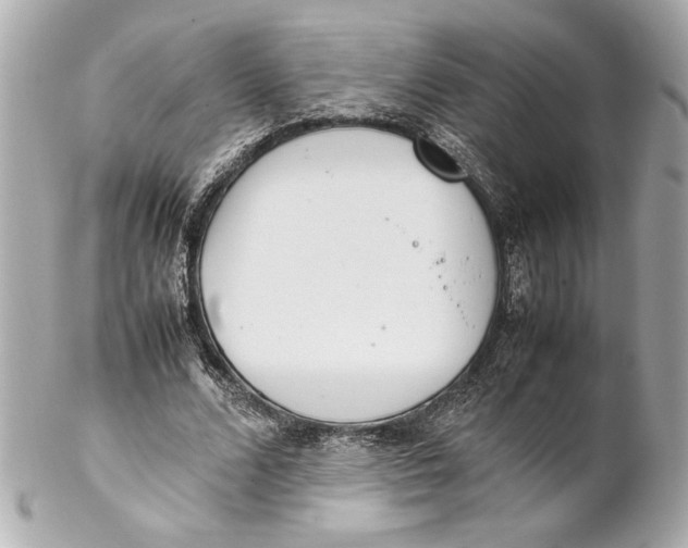 X0000102260680200808151841