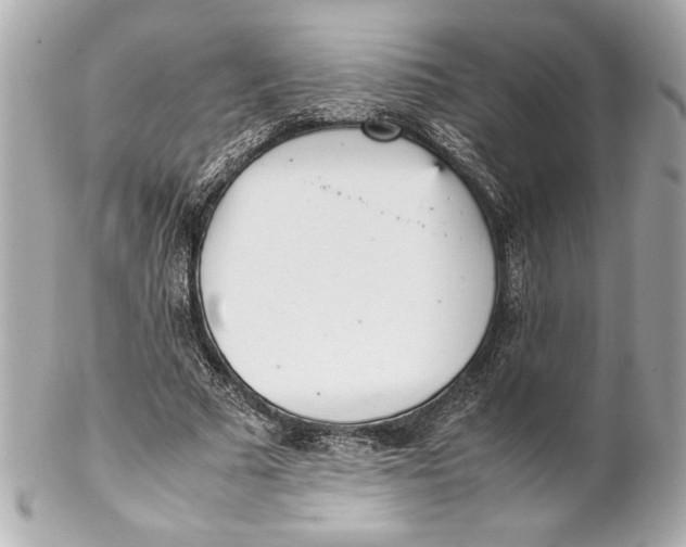 X0000102260681200808151841