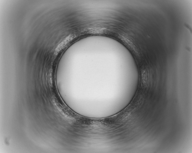 X0000102260682200808151841