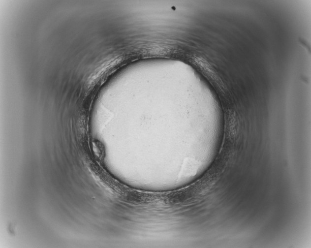 X0000102260683200808151841