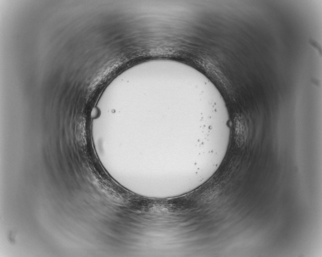 X0000102260684200808151841