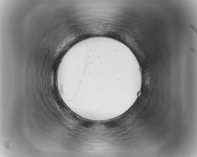 X0000102260685200808151841