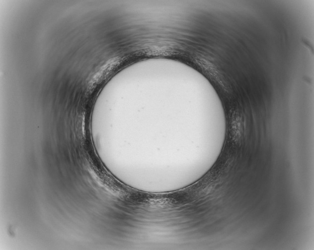 X0000102260686200808151841