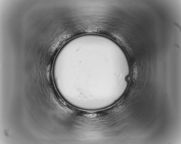 X0000102260687200808151841