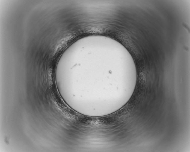 X0000102260688200808151841