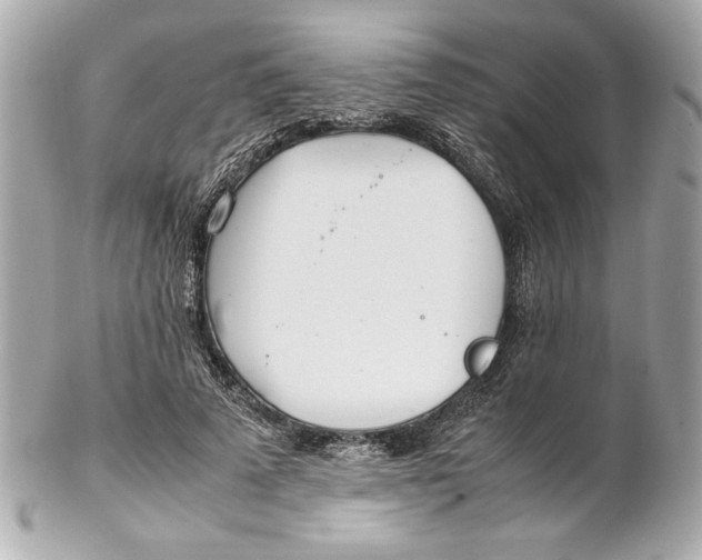 X0000102260689200808151841