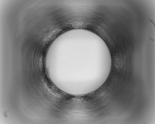 X0000102260690200808151841