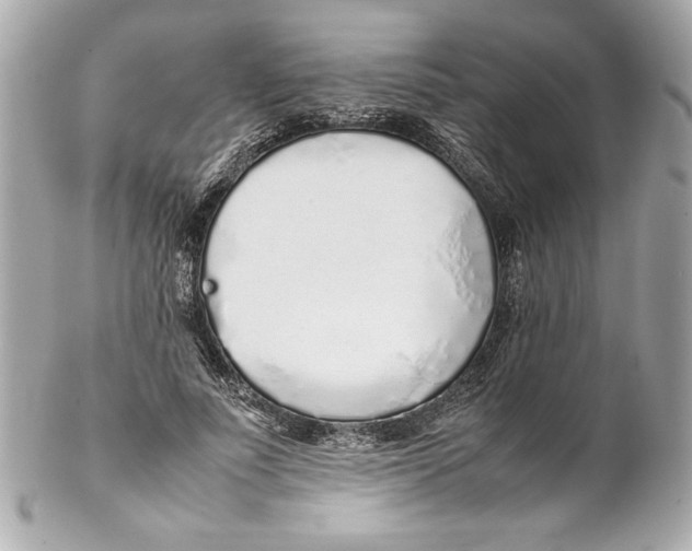 X0000102260691200808151841