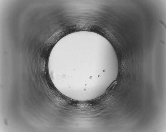 X0000102260693200808151841