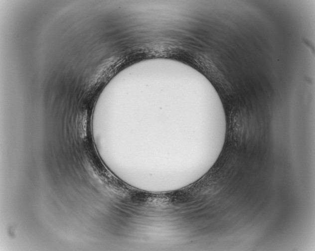 X0000102260694200808151841