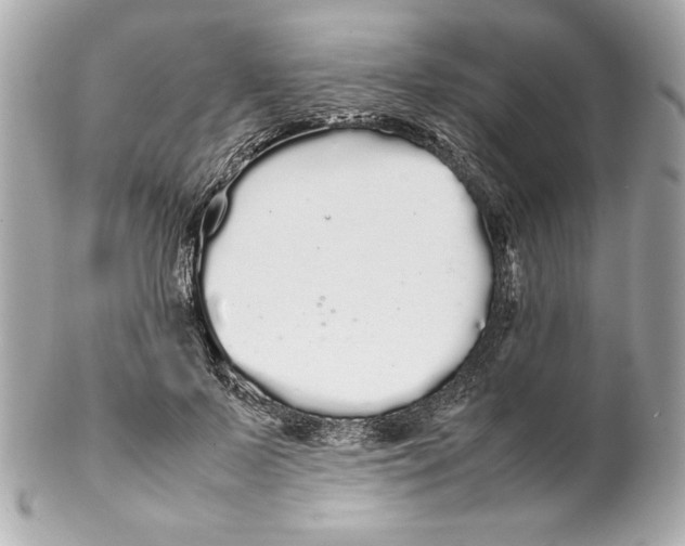 X0000102260695200808151841