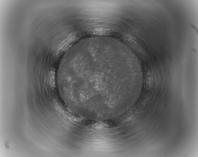 X0000102260696200808151841