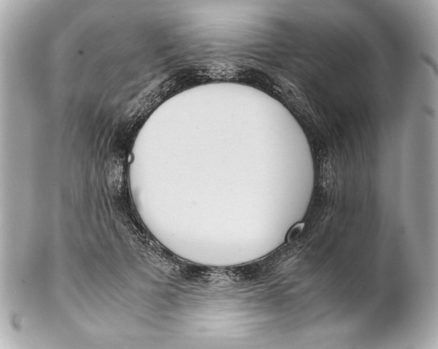 X0000102260697200808151841