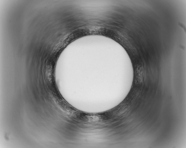 X0000102260698200808151841