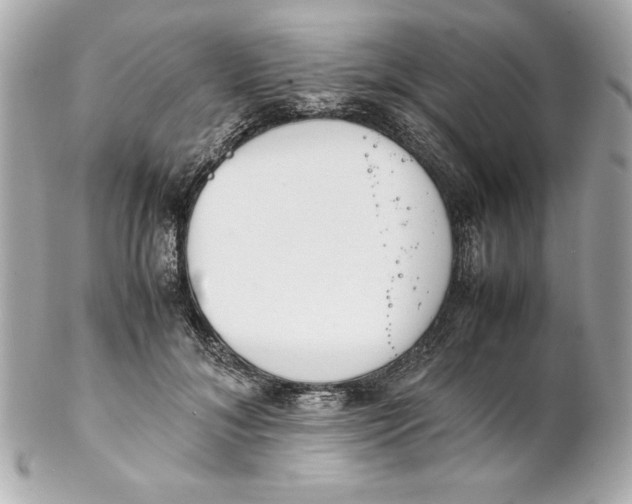 X0000102260700200808151841