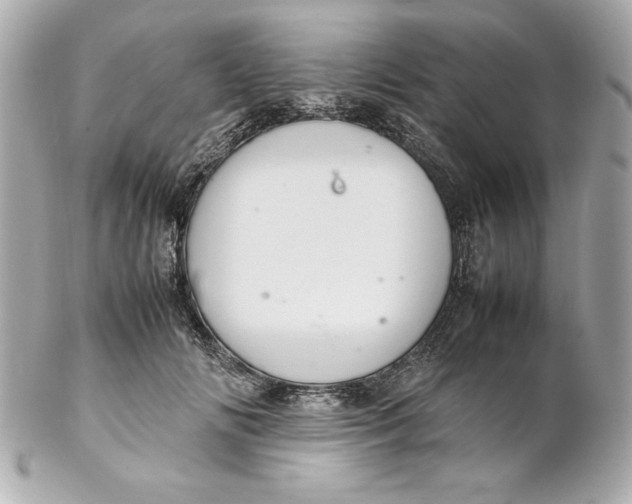 X0000102260702200808151841