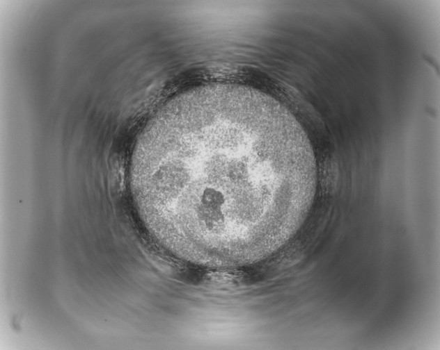 X0000102260703200808151841