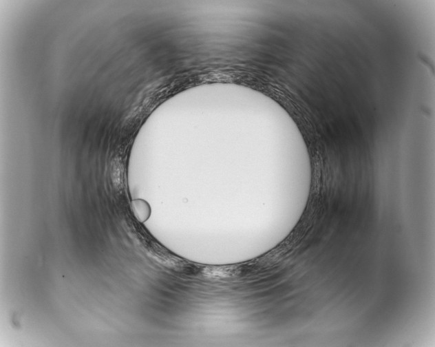 X0000102260706200808151841