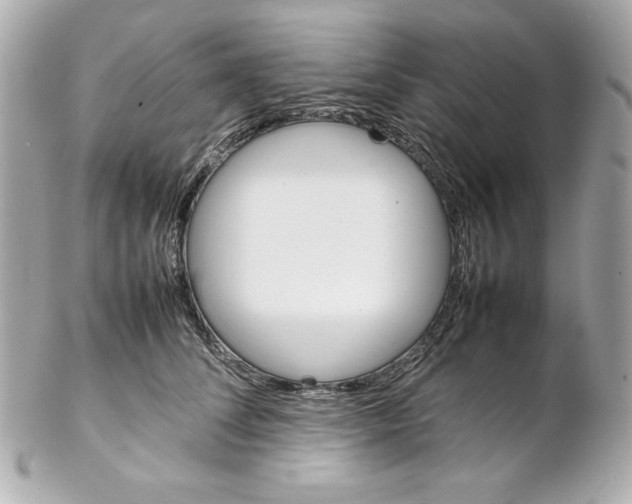 X0000102260708200808151841