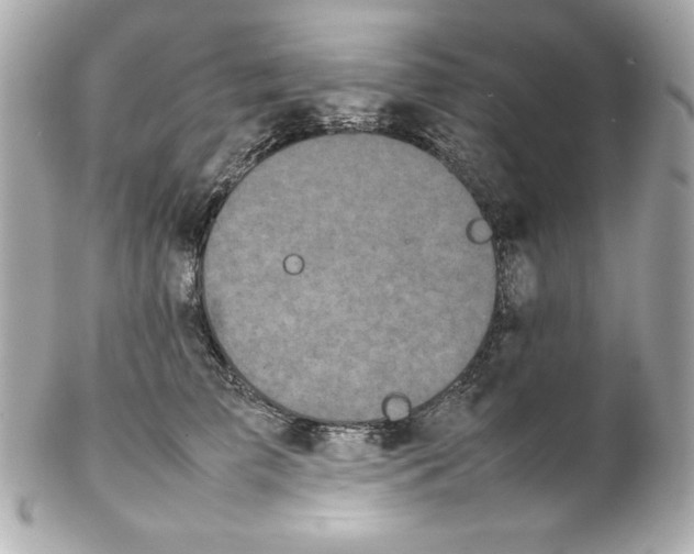 X0000102260709200808151841