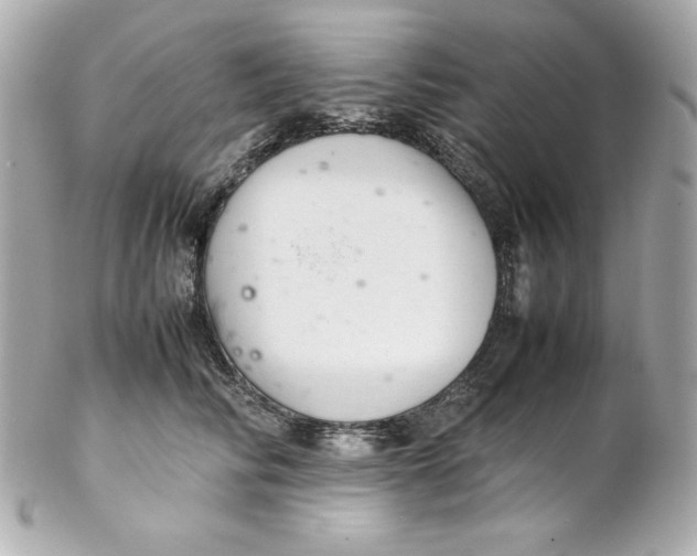 X0000102260710200808151841