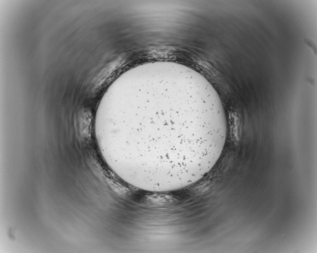 X0000102260712200808151841