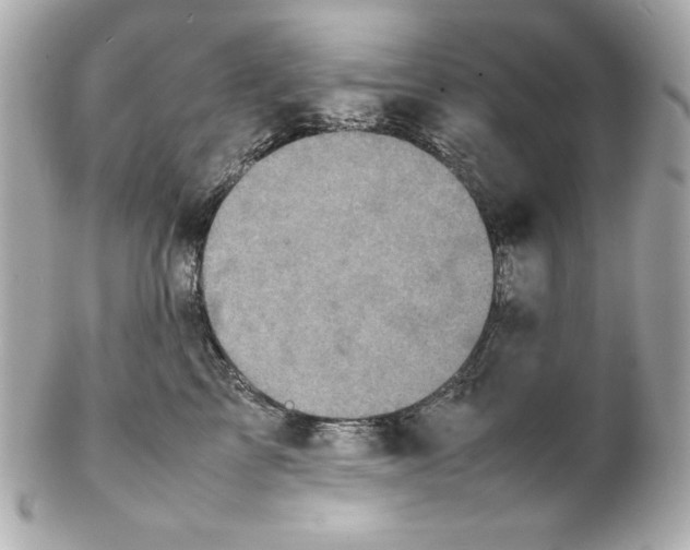 X0000102260713200808151841