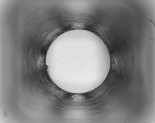 X0000102260714200808151841