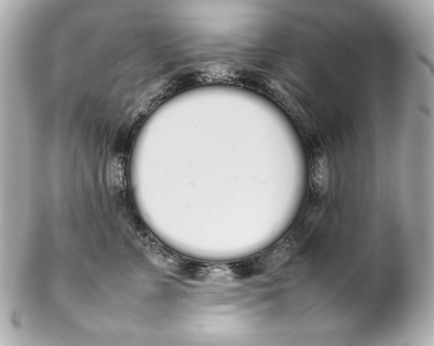 X0000102260715200808151841