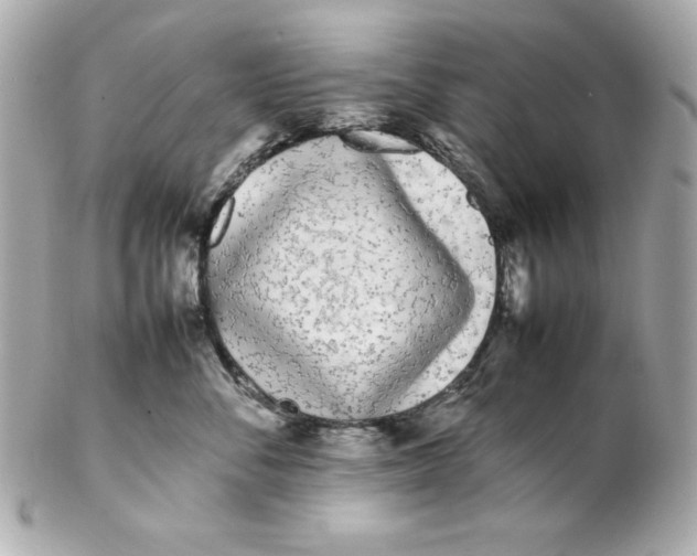 X0000102260716200808151841