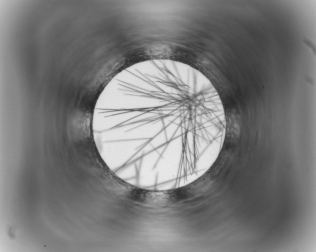 X0000102260717200808151841