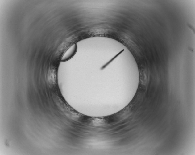 X0000102260718200808151841