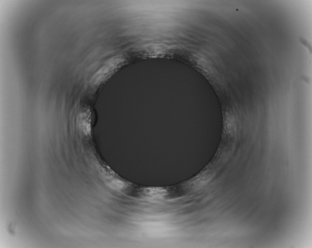 X0000102260719200808151841