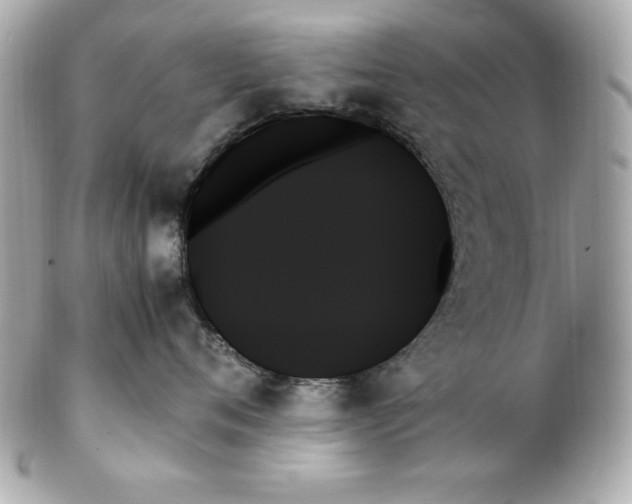 X0000102260720200808151841