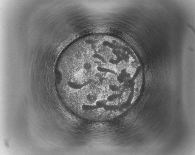 X0000102260721200808151840